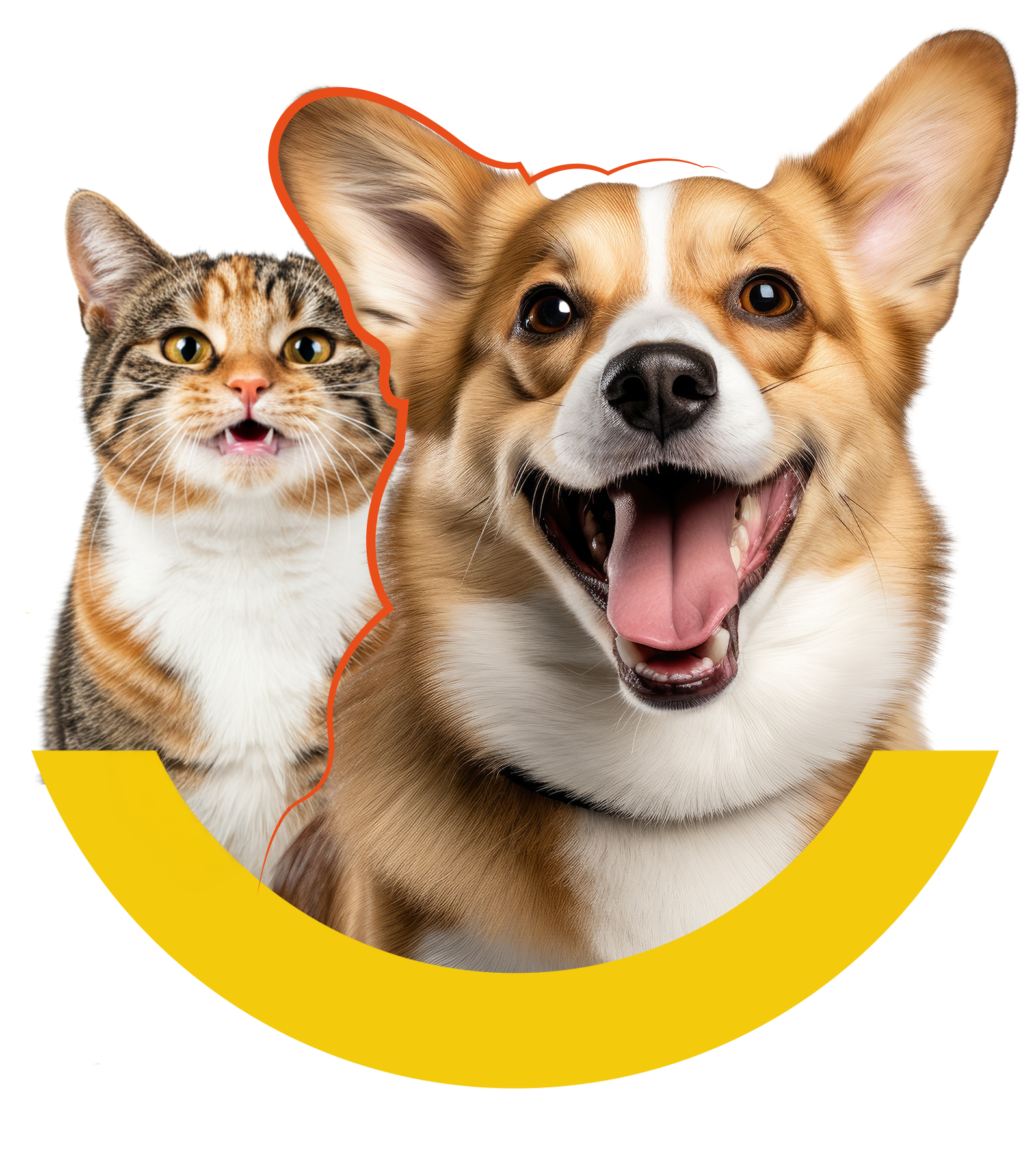Perro y gato Laika Pet